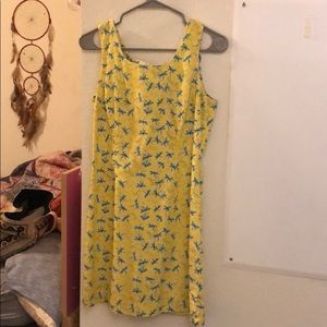 Lilly Pulitzer cotton dress!